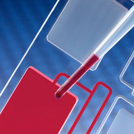 Hydrophilic Films